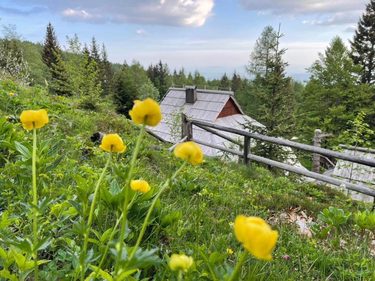 Velika Planina Chalet Slovenka Stahovica 외부 사진