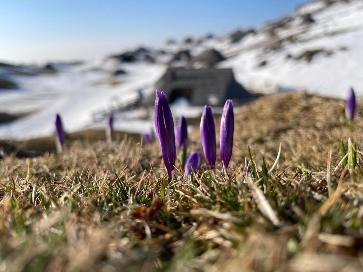 Velika Planina Chalet Slovenka Stahovica 외부 사진